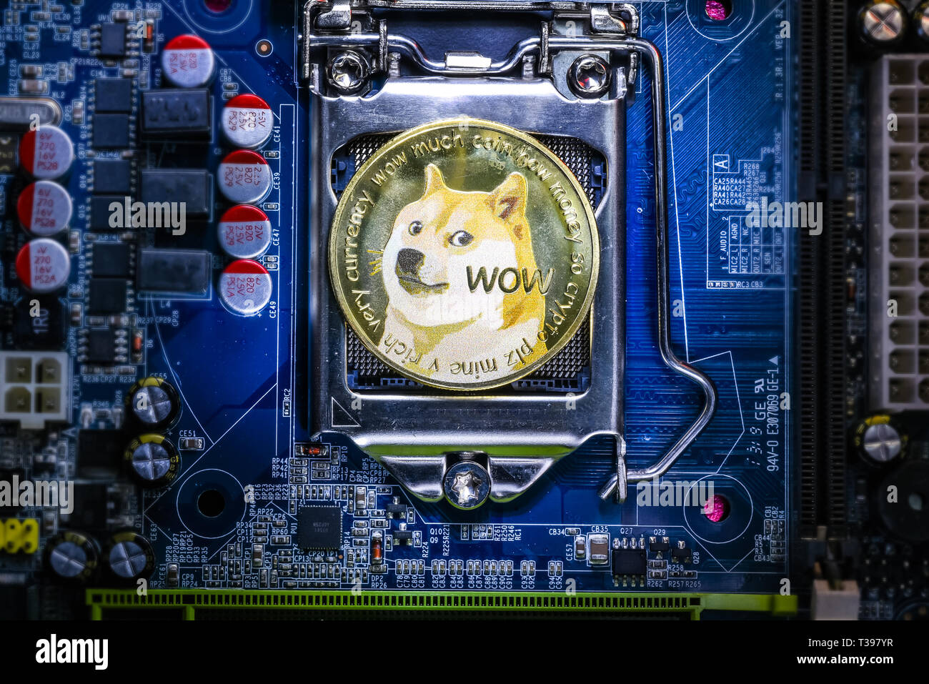 Blick Von Oben Auf Die Dogecoin Cryptocurrency Physischen Munze Auf - 